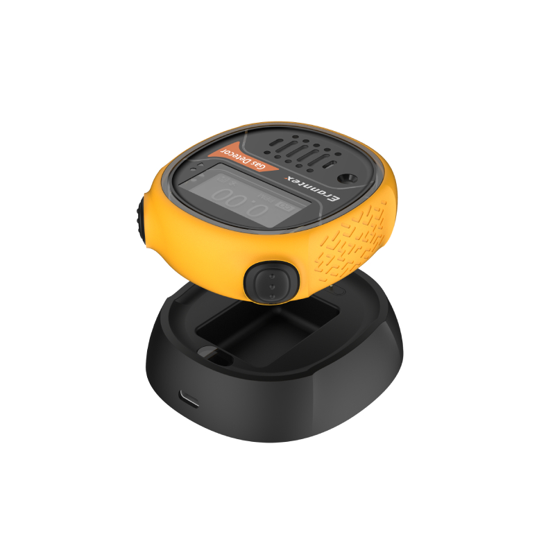 決定氣體檢測(cè)儀價(jià)格的因素有哪些？