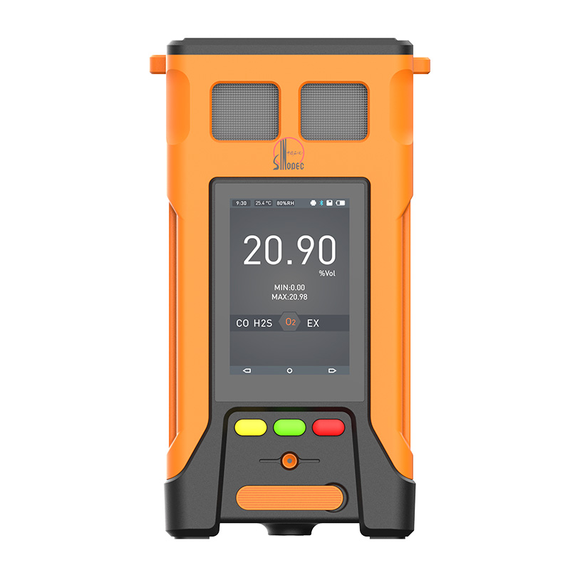 氣體檢測儀的分辨率誤差是多少？